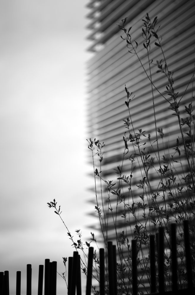 Architecture Noir & Blanc Patrick Borie-Duclaud