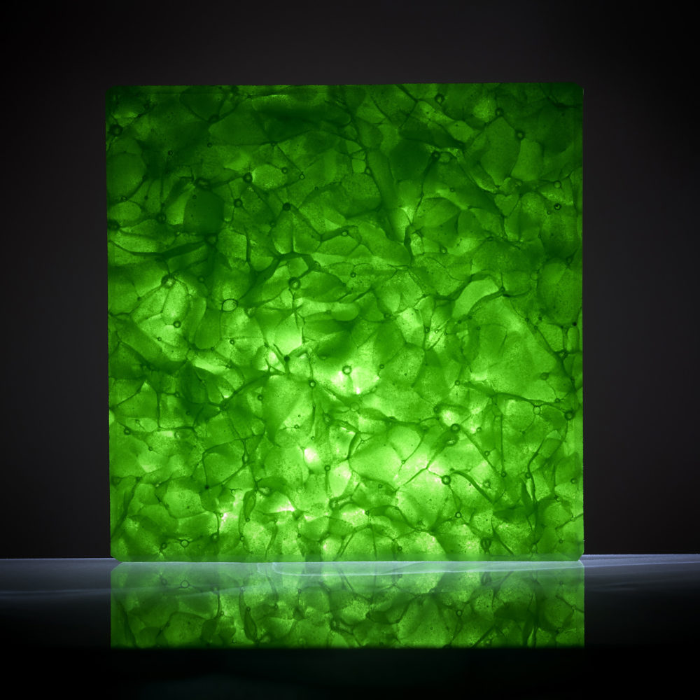 e-stonetech Japan Patrick Borie-Duclaud